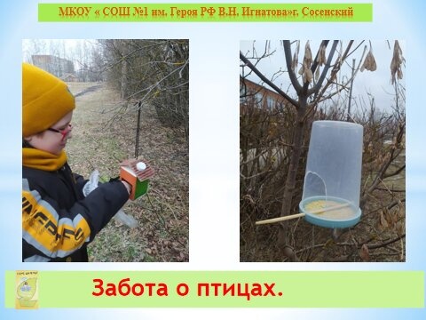 Забота о птицах.